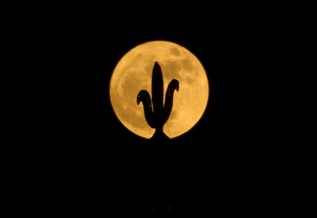 Moon rising behind the Kamakhya Hindu temple in Gauhati, India. Image: Anupam Nath/AP